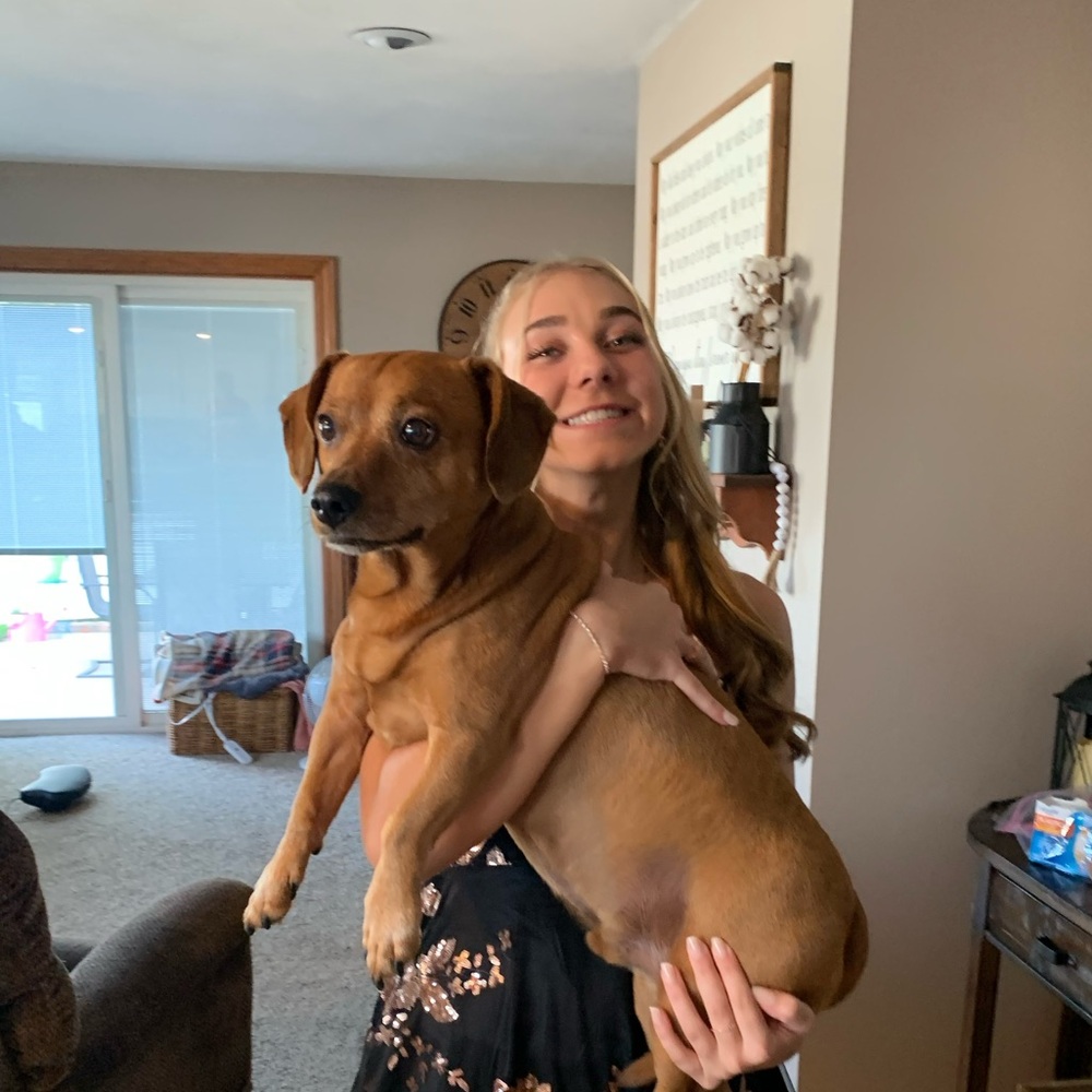 Meet your Posher, Addi